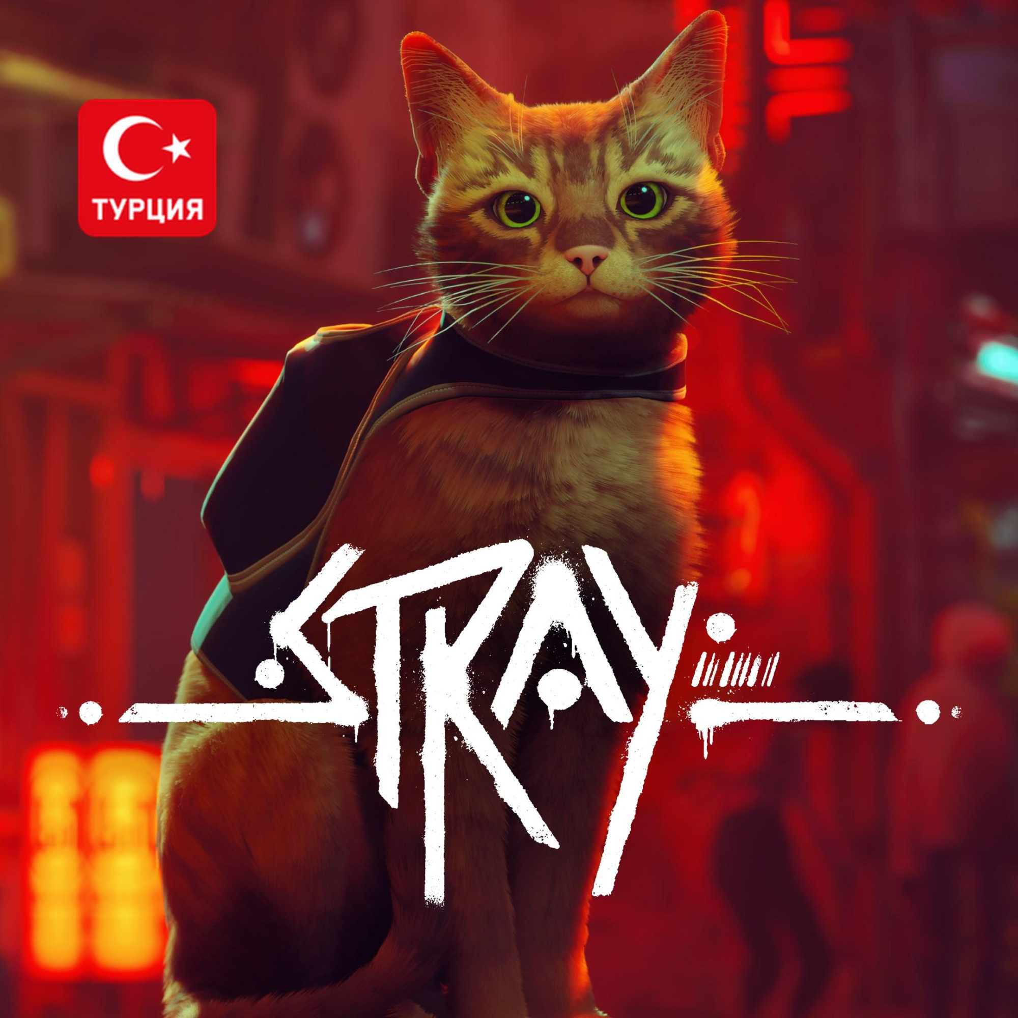 (TR) Stray для Xbox